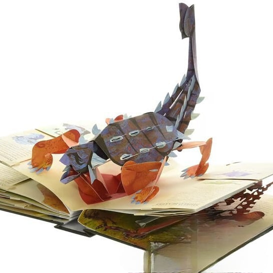 ⏰המחיר הנמוך ביותר מבחינה היסטורית: חסכו 50% -🦖אנציקלופדיה תלת-ממדית של דינוזאורים פרהיסטוריים📙כריכה קשה