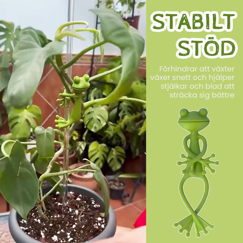 Groda Plant Stan