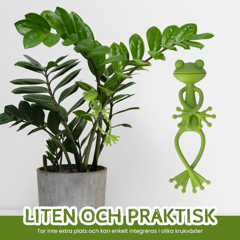 Groda Plant Stan