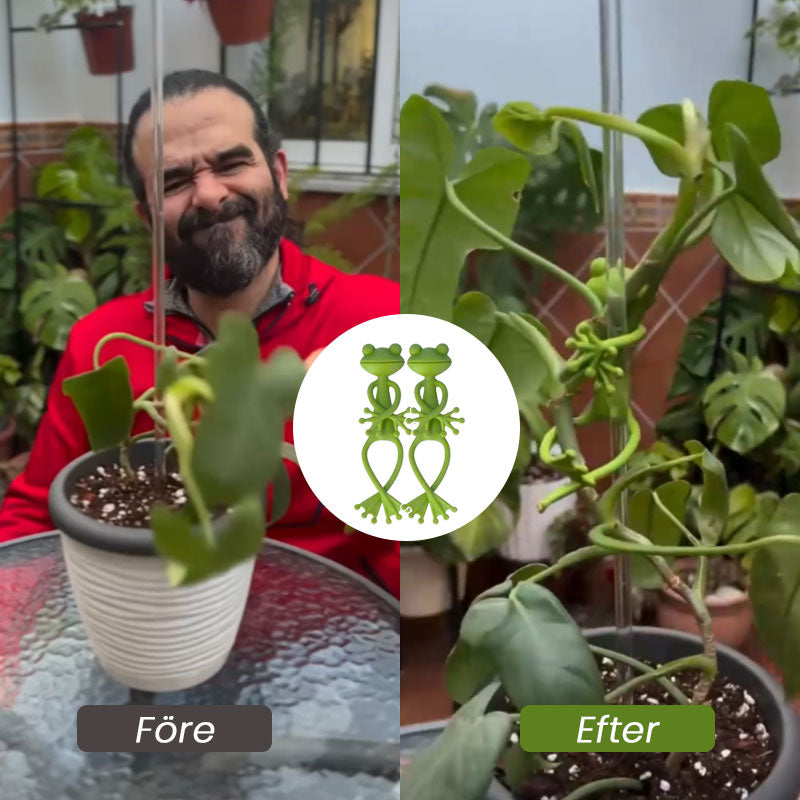 Groda Plant Stan